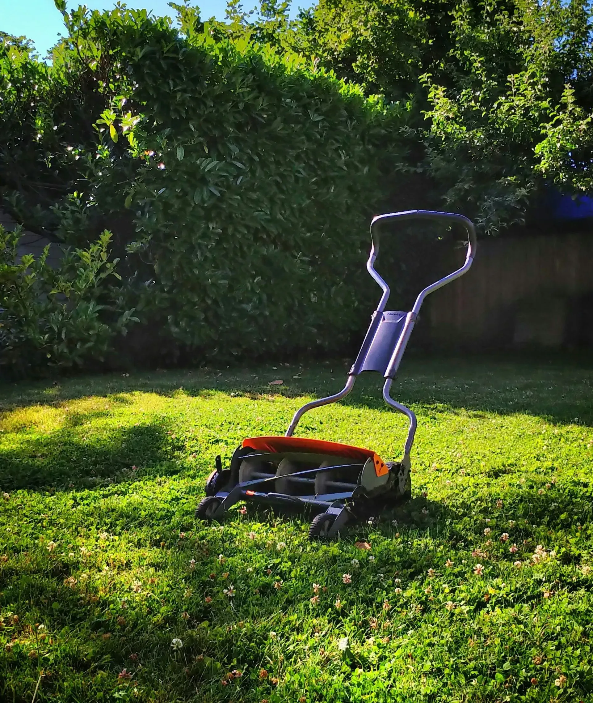 Lawnmower on a green lawn with a background of leafy trees.