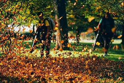 Two people using leaf blowers in a park, orange leaves blowing in the air.