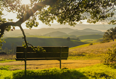 Sonoma County