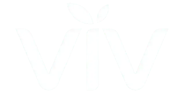 Viv Digital Marketing