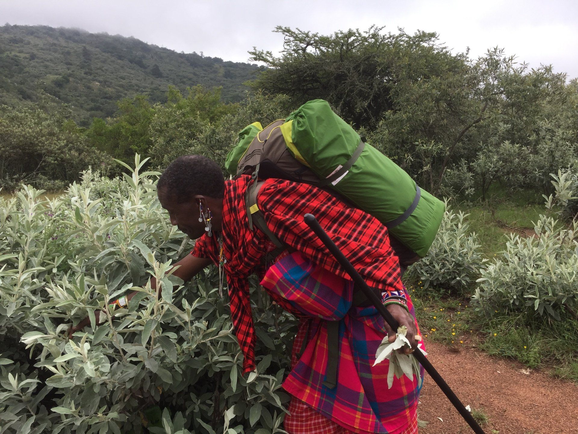 Walking Safari Kenya Maasai Sankale Ntutu