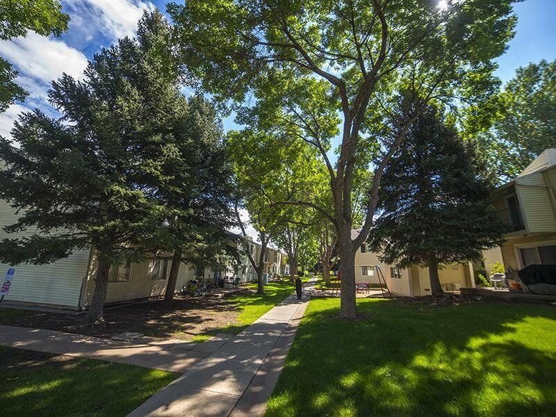 A person walks on a sidewalk lined with trees and apartment buildings on a sunny day.