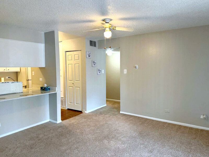 Kitchen Area | Falcon Run
