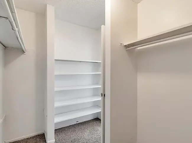 Spacious closet with shelves and hanging space