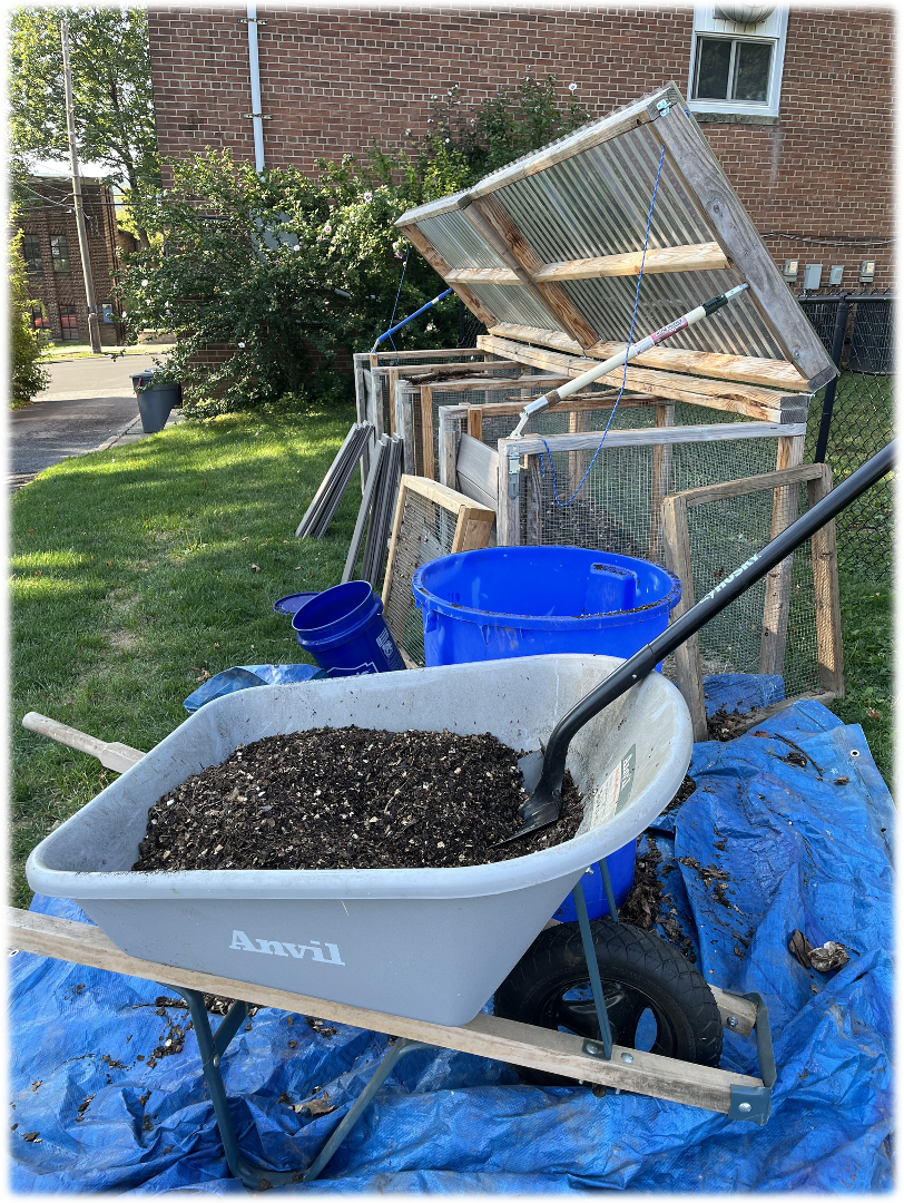 Wheelbarrow with soil, shovel, blue buckets, and compost bins in a yard.
