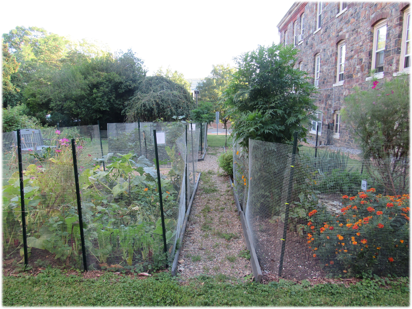 Garden beds with woven fencing, next to a stone building.