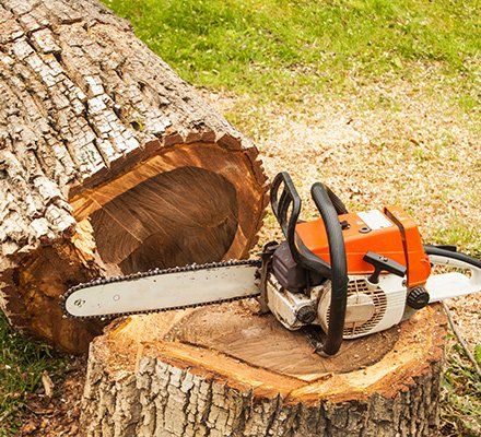Tree Arborist Service — Orange Chainsaw in Pittsburgh, PA