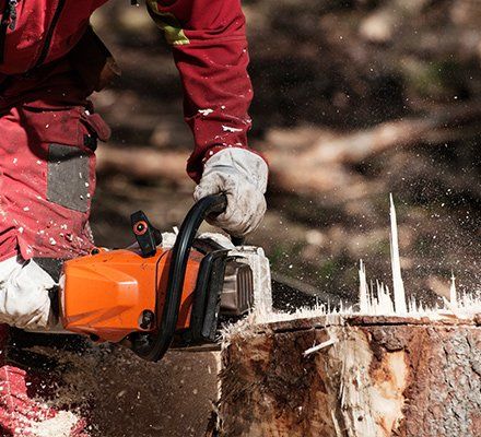 Stump Grinding — Man Grinding A Stump in Pittsburgh, PA