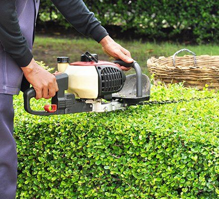 Arborist — Shrub Trimming in Pittsburgh, PA