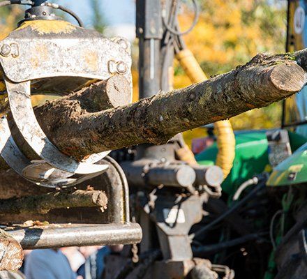 Stump Grinding Service — Truck Pulling Log in Pittsburgh, PA