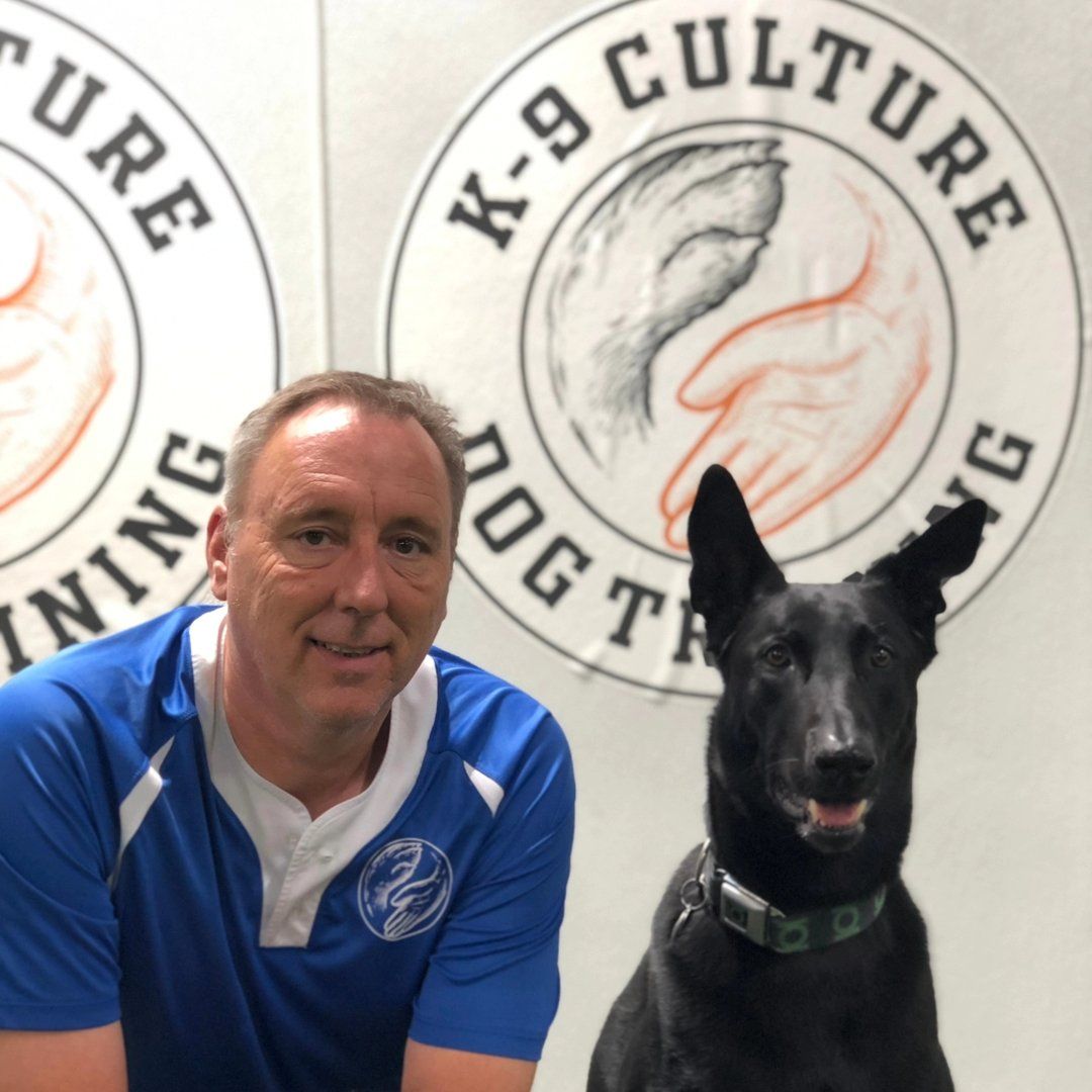 Our Malinois Lincoln, who lives to train and learn