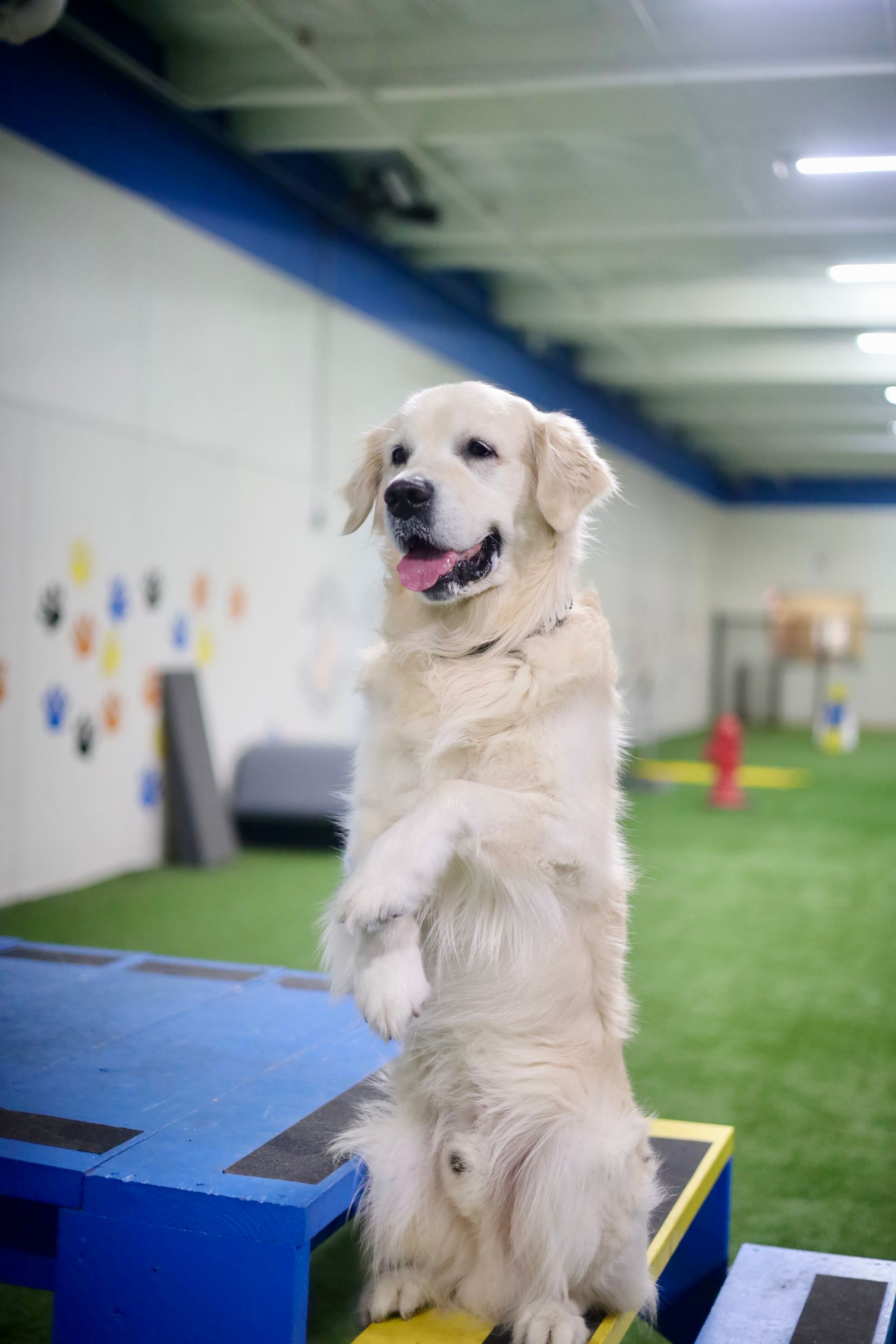 Tricks aren't always applicable, but they are cute