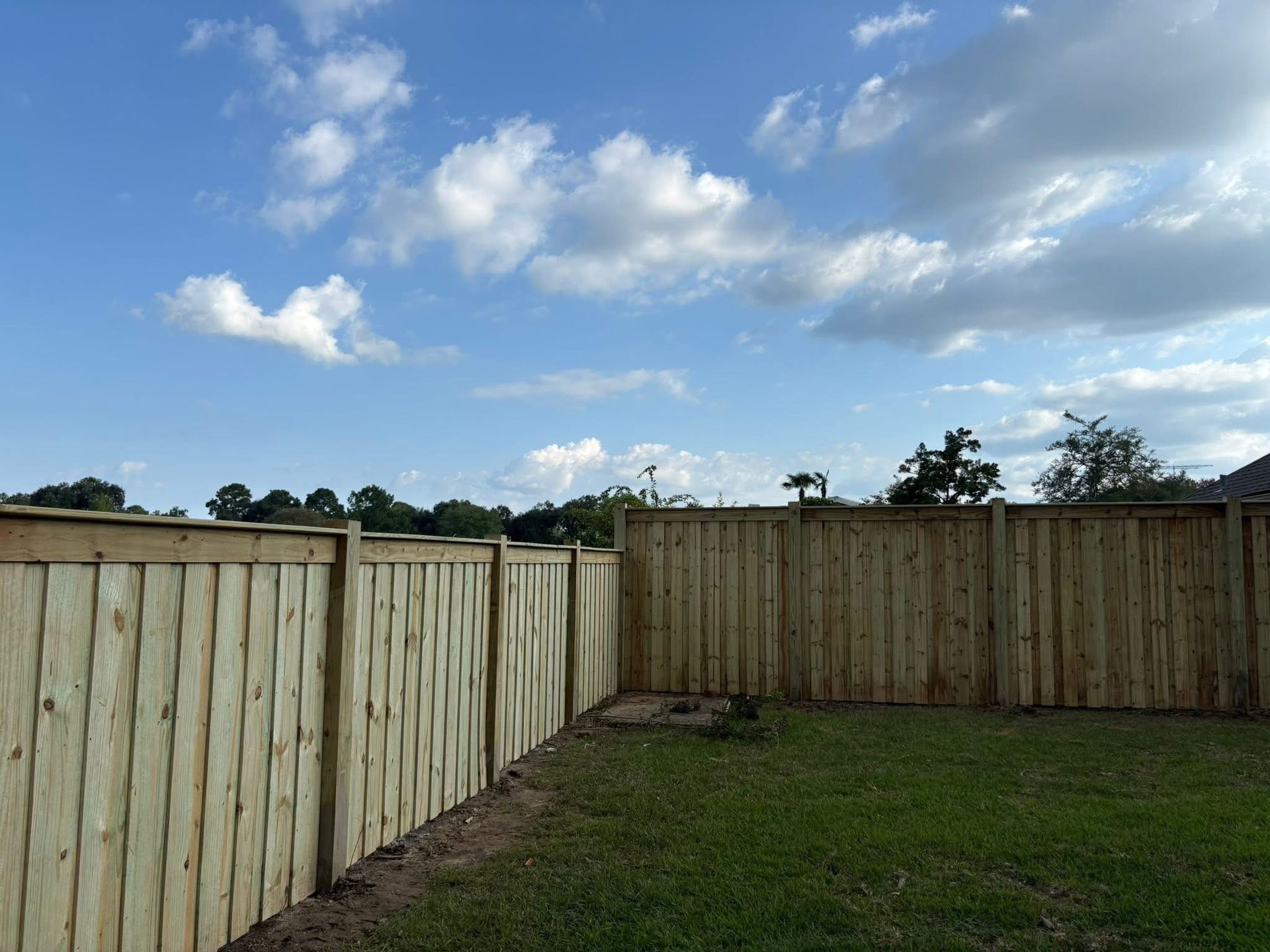 Wooden fence in a backyard under a blue sky with scattered clouds.