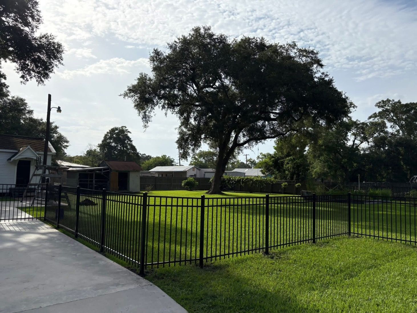 Black fenced green lawn with large tree, sidewalk, small buildings, and blue sky.