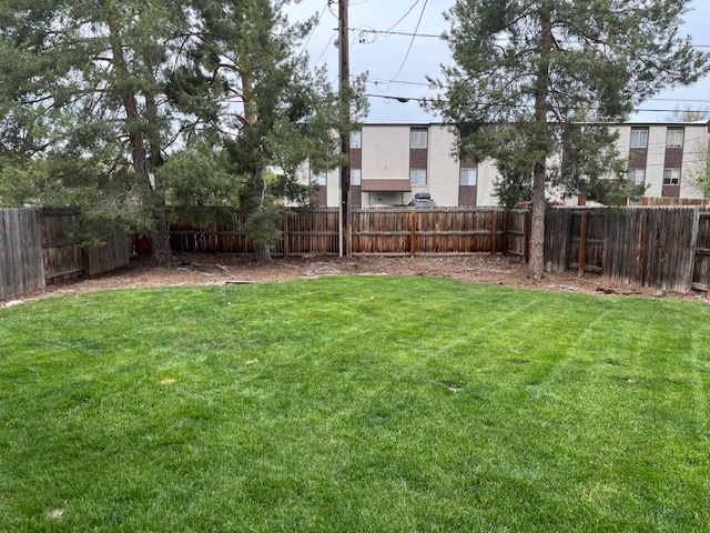 A large lush green yard with a wooden fence and trees in the background.