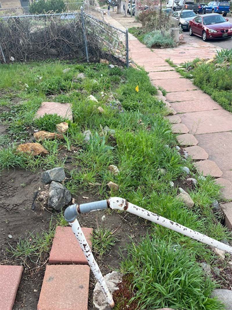 A hose is sitting in the grass next to a sidewalk.