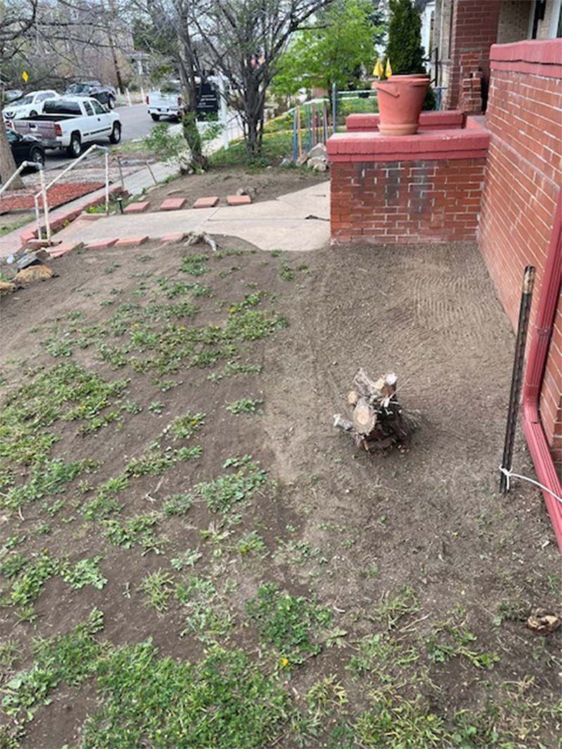 A dog is laying in the dirt in front of a house.