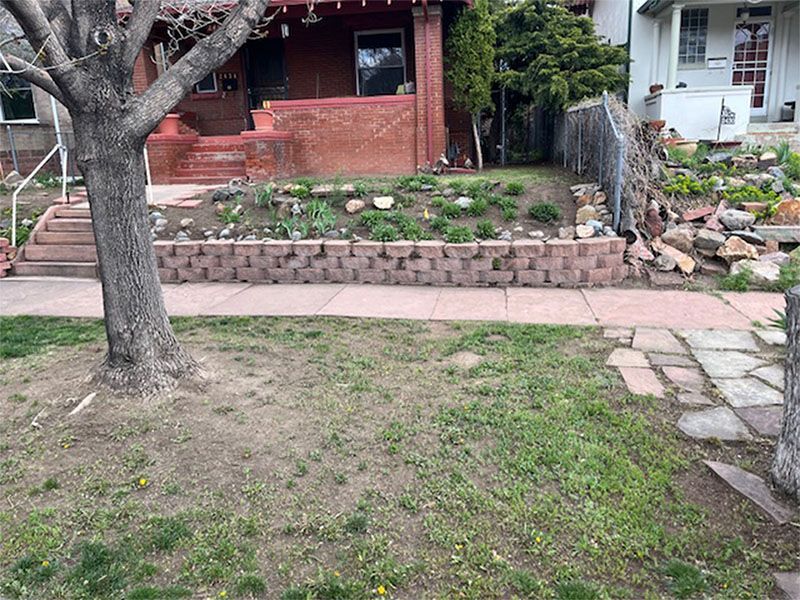 There is a tree in the middle of the yard in front of a house.