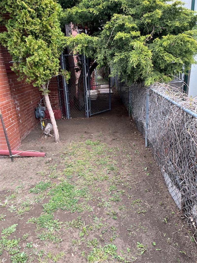 A dog is walking through a fenced in yard next to a brick building.