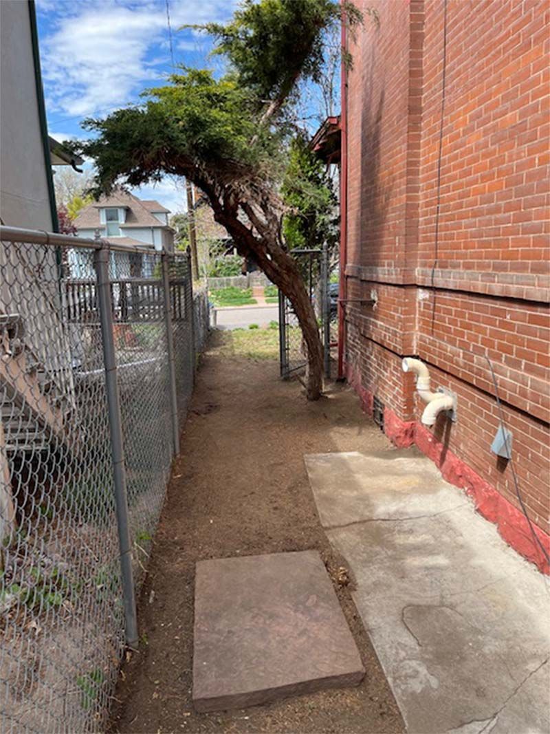 A tree is leaning against a chain link fence next to a brick building.