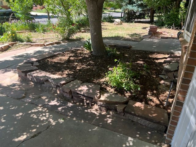 There is a tree in the middle of the yard.