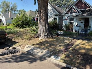 A backyard with a wooden fence and a green trash can.