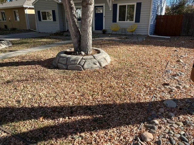 A tree in a stone planter in front of a house