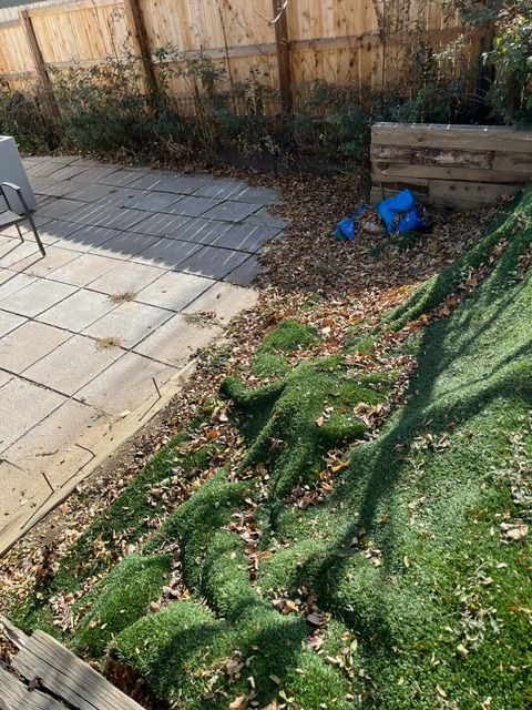 A lawn with a lot of grass and leaves on it.