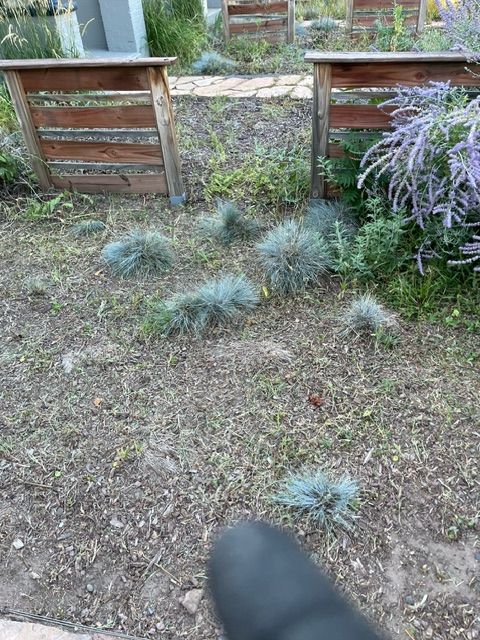 A person is standing in front of a wooden fence in a garden.
