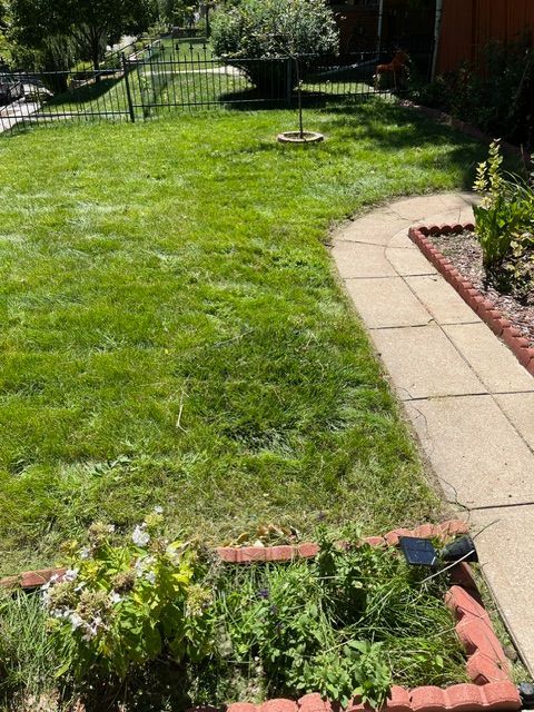 A lush green lawn with a walkway leading to it.