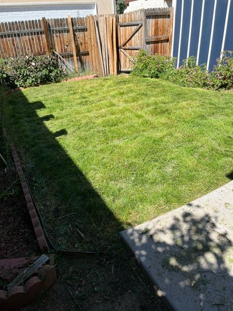 A backyard with a lush green lawn and a wooden fence.