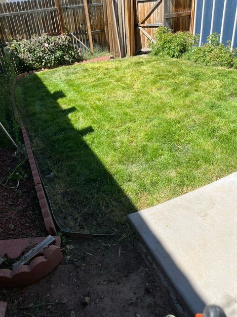 A shadow of a person is cast on a lush green lawn.