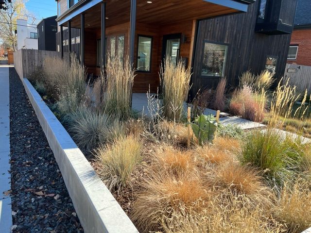 A house with a lot of plants in front of it