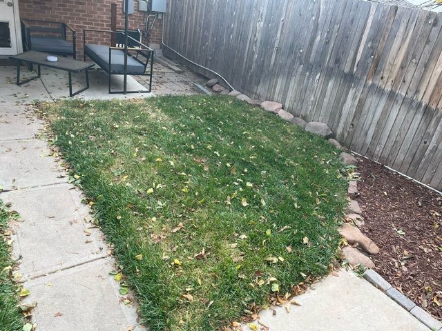 A backyard with a wooden fence and a lot of grass
