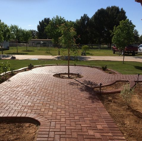 Brick paved walkway with tree in center, leading to green lawn with trees, under a sunny sky.