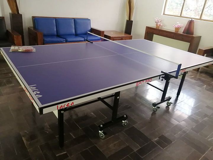 MEGABILLARES - Ping pong