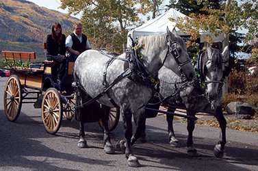 Two horses are pulling a carriage with two people in it.