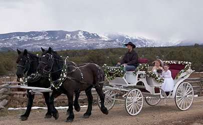 A bride and groom are riding in a horse drawn carriage.