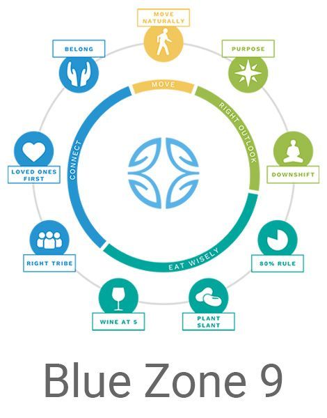 A blue zone 9 poster with a circle in the middle