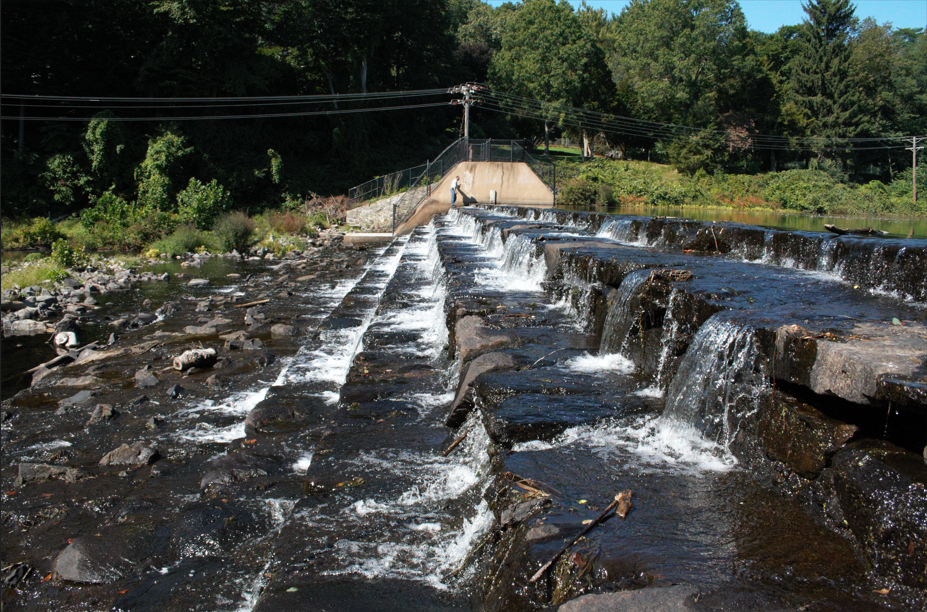 A small waterfall is surrounded by trees and rocks
