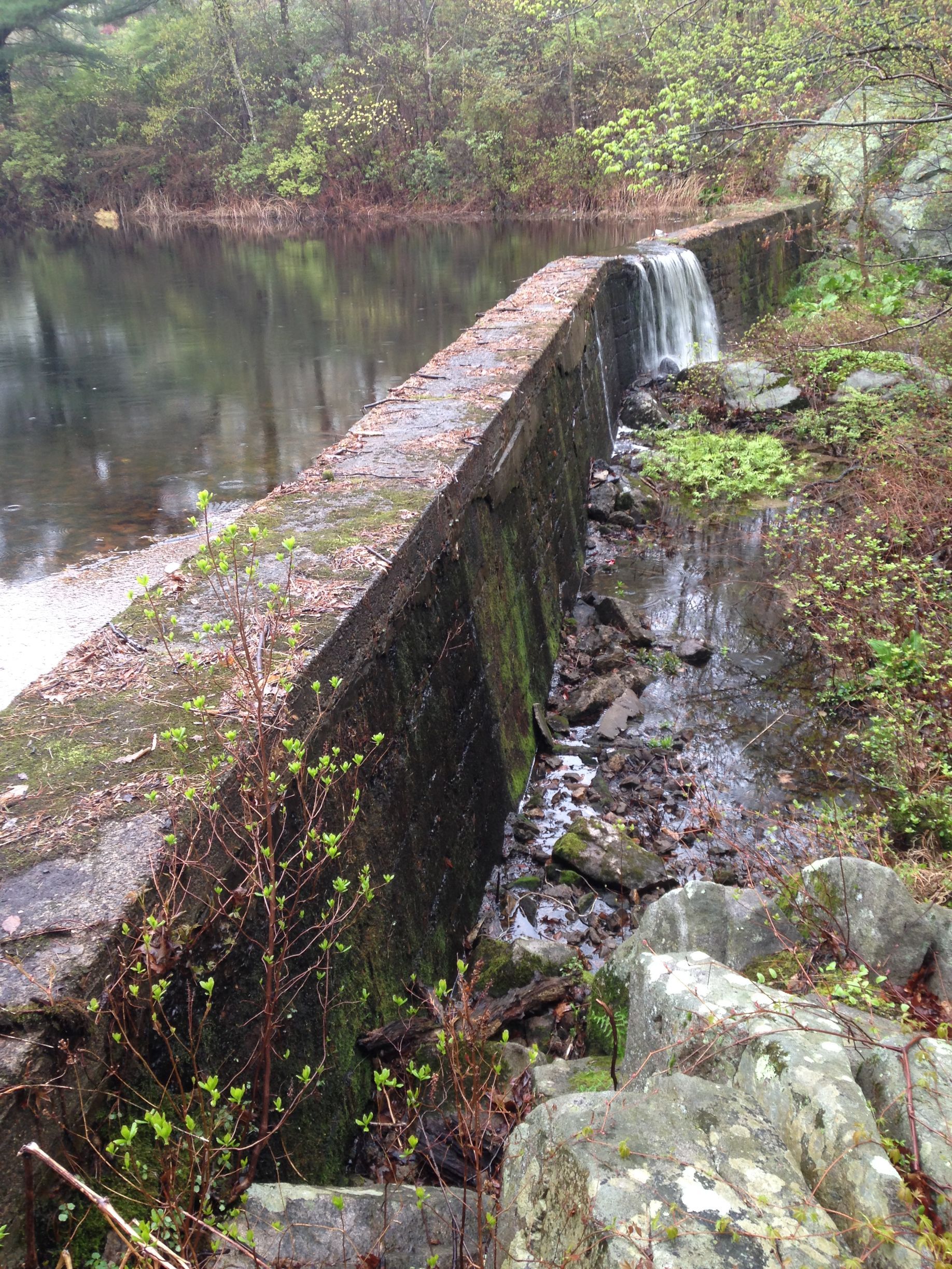 A small waterfall is coming down a stone wall next to a body of water.