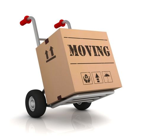Box in cart — Long Distance Movers in Minnesota City, MN
