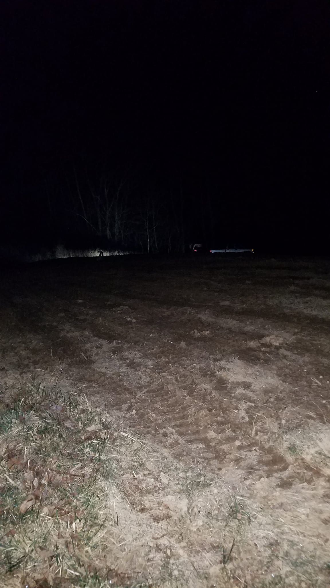 Dark field at night, trees in the distance, ground is visible in the foreground.
