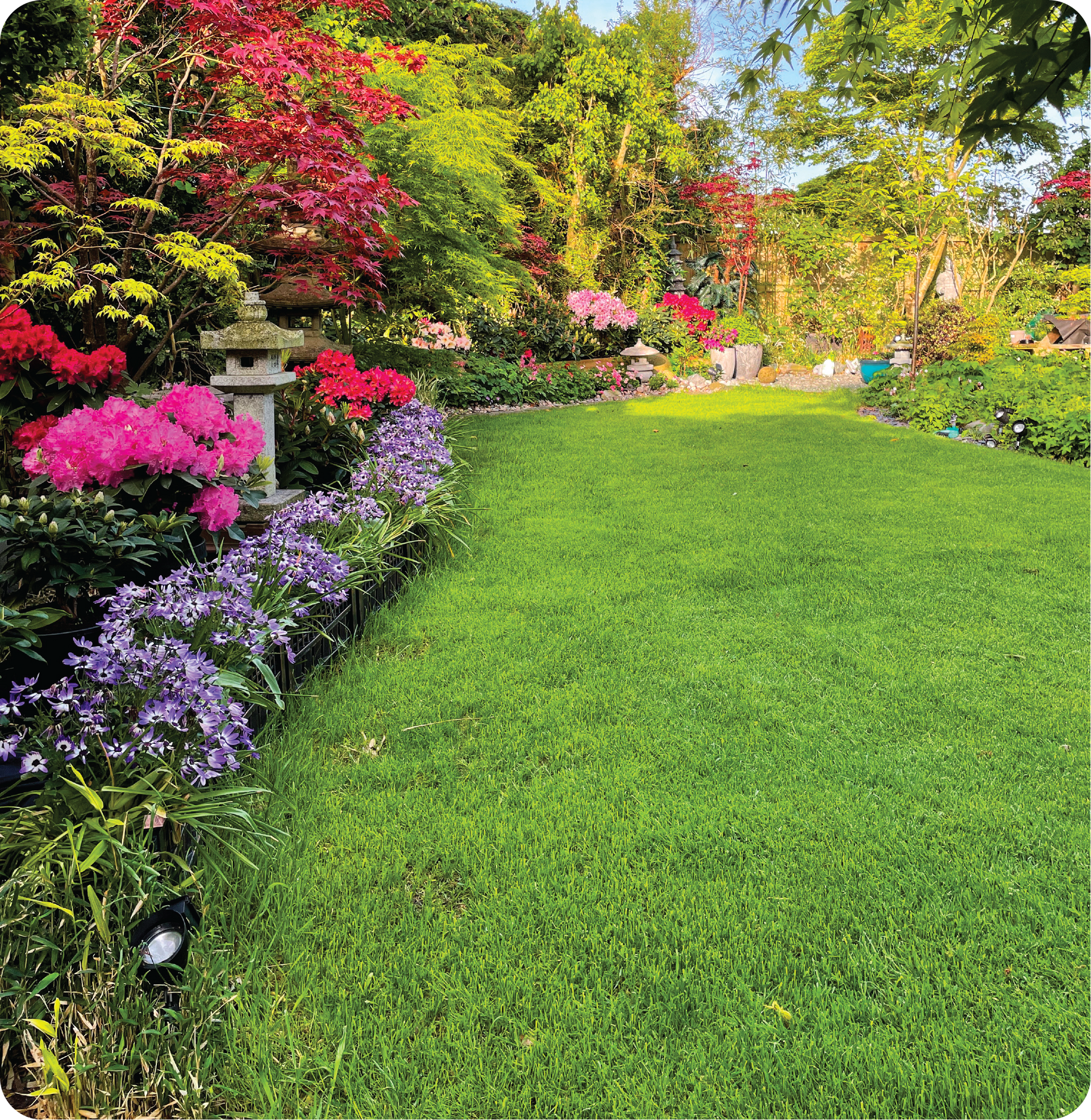 A lush green lawn surrounded by flowers and trees in a garden.