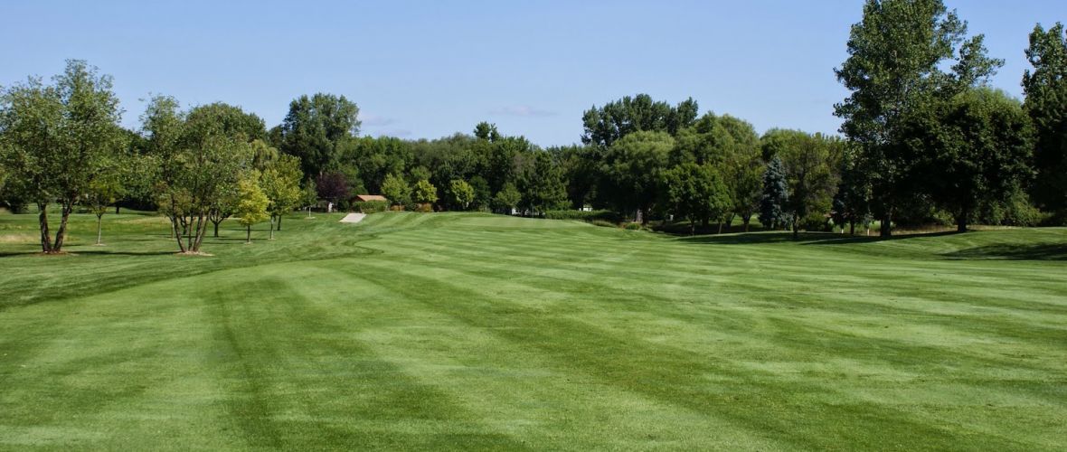 A golf course with a lot of green grass and trees in the background.