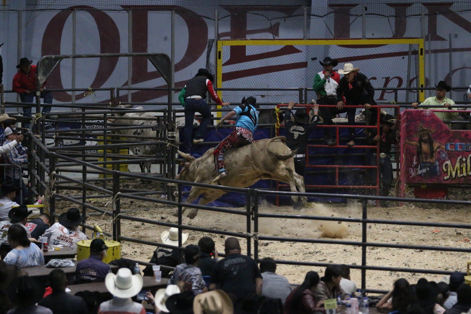 A man is riding a bull in a rodeo arena