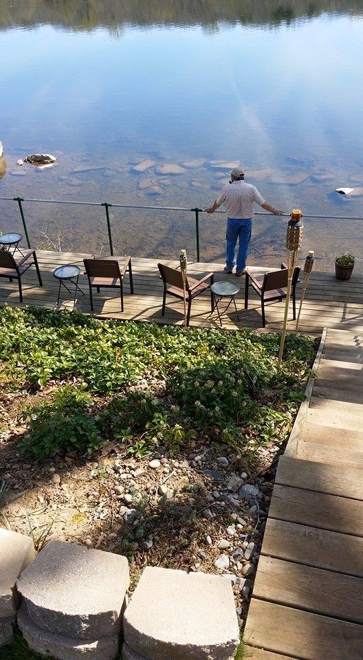 A man is standing on a dock overlooking a lake.