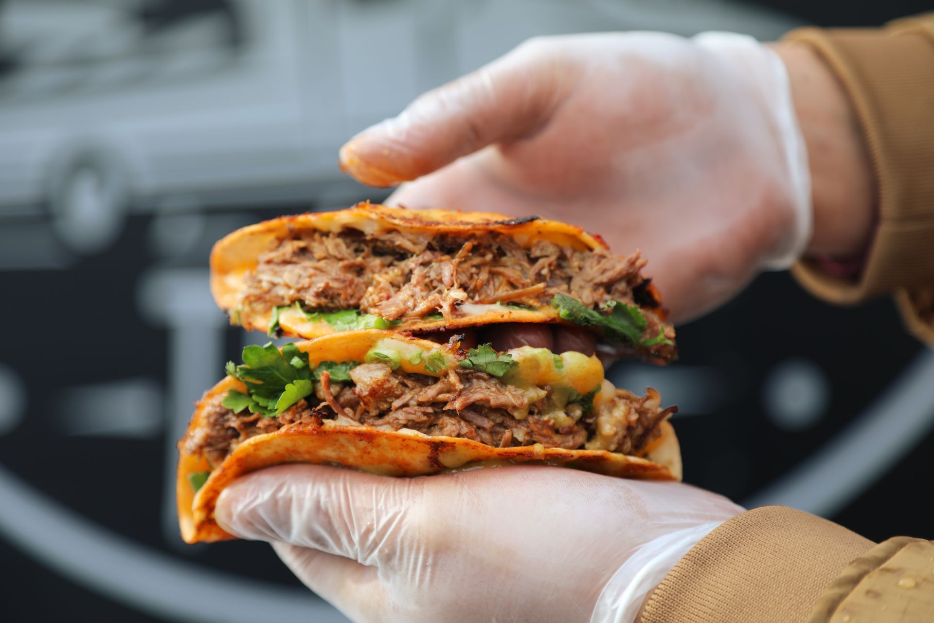 Two hands in gloves hold a stacked sandwich with meat, cilantro, and guacamole.