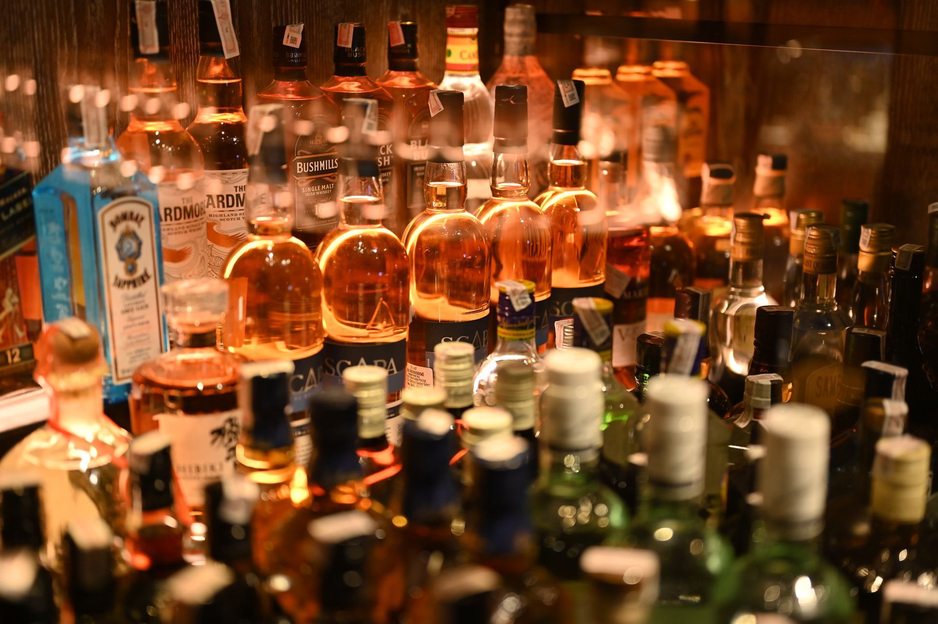 Bar shelf filled with various liquor bottles, lit from the front, with a warm glow.