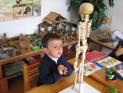 BAMBINI MONTESSORI